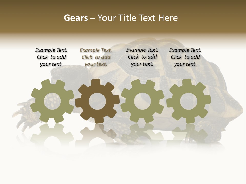 Herbivorous Shield Carapace PowerPoint Template