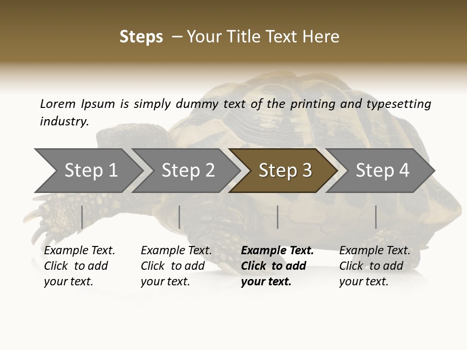 Herbivorous Shield Carapace PowerPoint Template