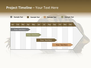 Herbivorous Shield Carapace PowerPoint Template