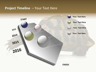 Herbivorous Shield Carapace PowerPoint Template
