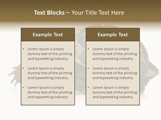 Herbivorous Shield Carapace PowerPoint Template