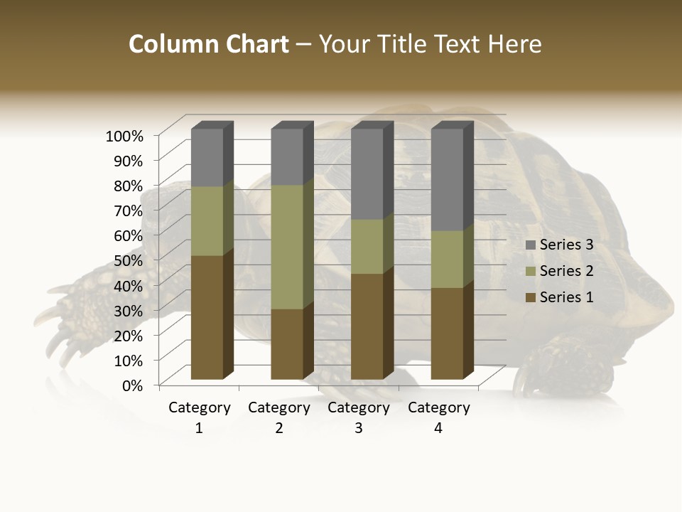 Herbivorous Shield Carapace PowerPoint Template