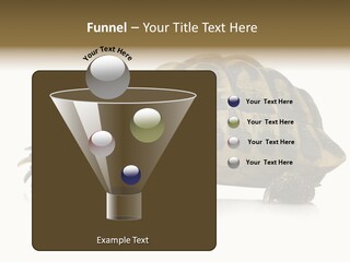 Herbivorous Shield Carapace PowerPoint Template