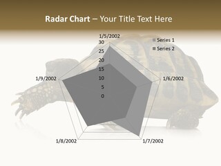 Herbivorous Shield Carapace PowerPoint Template