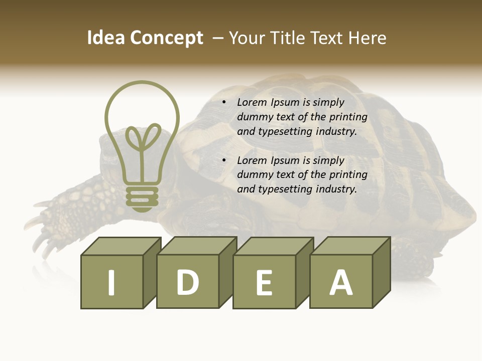 Herbivorous Shield Carapace PowerPoint Template