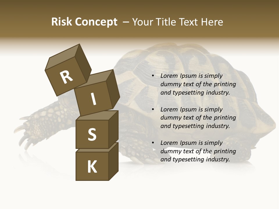 Herbivorous Shield Carapace PowerPoint Template