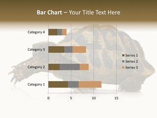 Herbivorous Shield Carapace PowerPoint Template