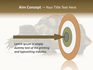Herbivorous Shield Carapace PowerPoint Template