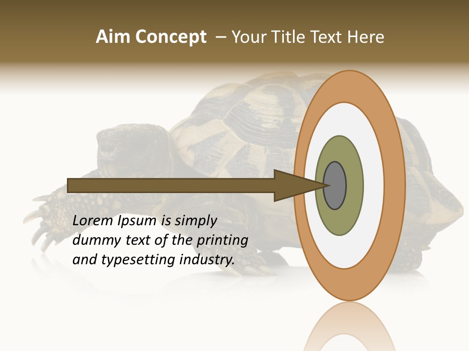 Herbivorous Shield Carapace PowerPoint Template