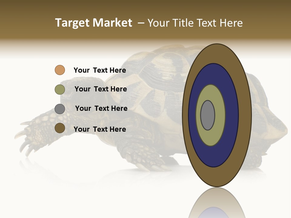 Herbivorous Shield Carapace PowerPoint Template