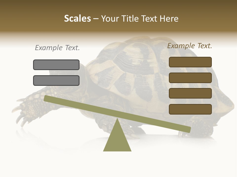 Herbivorous Shield Carapace PowerPoint Template