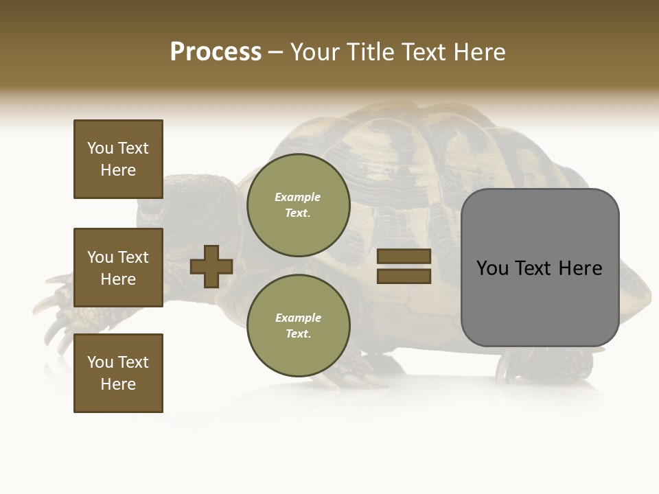 Herbivorous Shield Carapace PowerPoint Template