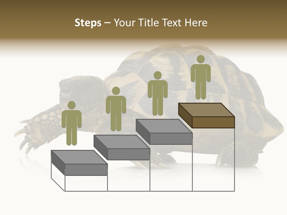 Herbivorous Shield Carapace PowerPoint Template