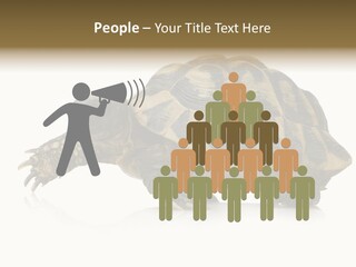 Herbivorous Shield Carapace PowerPoint Template