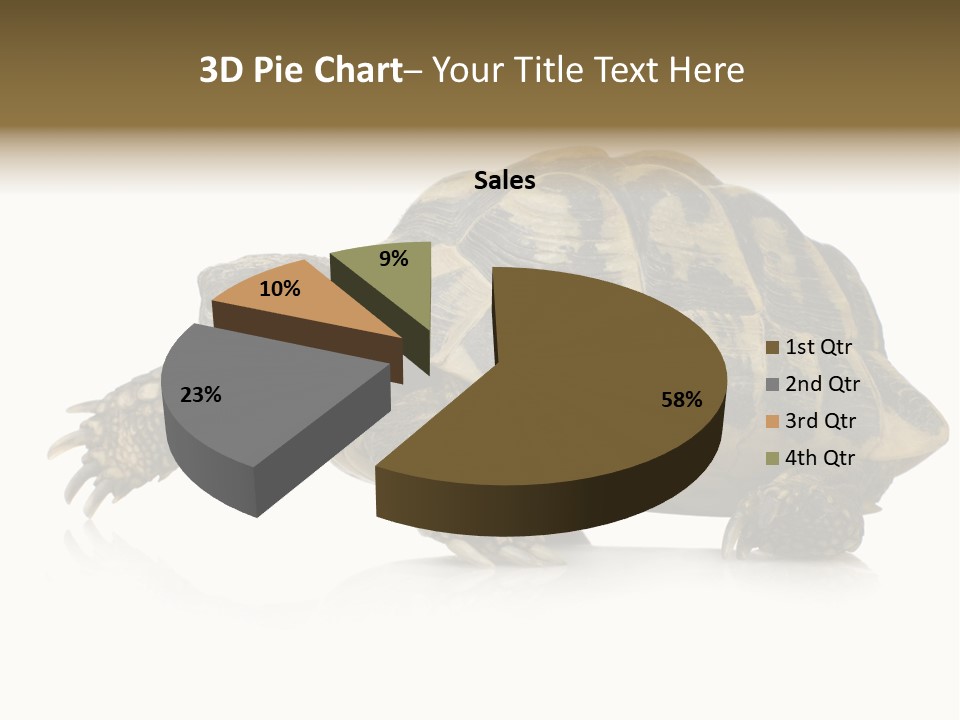 Herbivorous Shield Carapace PowerPoint Template