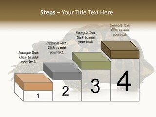 Herbivorous Shield Carapace PowerPoint Template