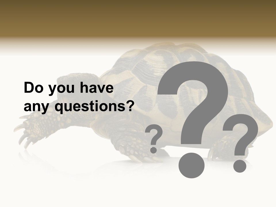 Herbivorous Shield Carapace PowerPoint Template