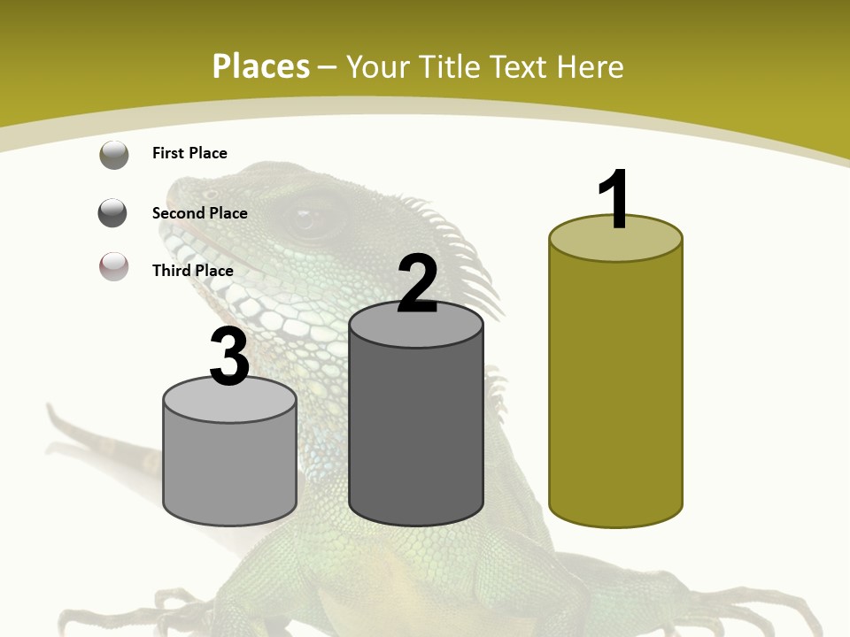 Isolated On White Iguana Nature PowerPoint Template