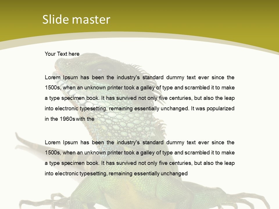 Isolated On White Iguana Nature PowerPoint Template