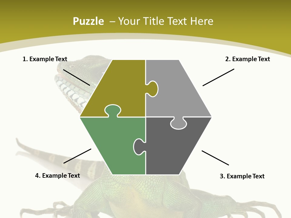 Isolated On White Iguana Nature PowerPoint Template