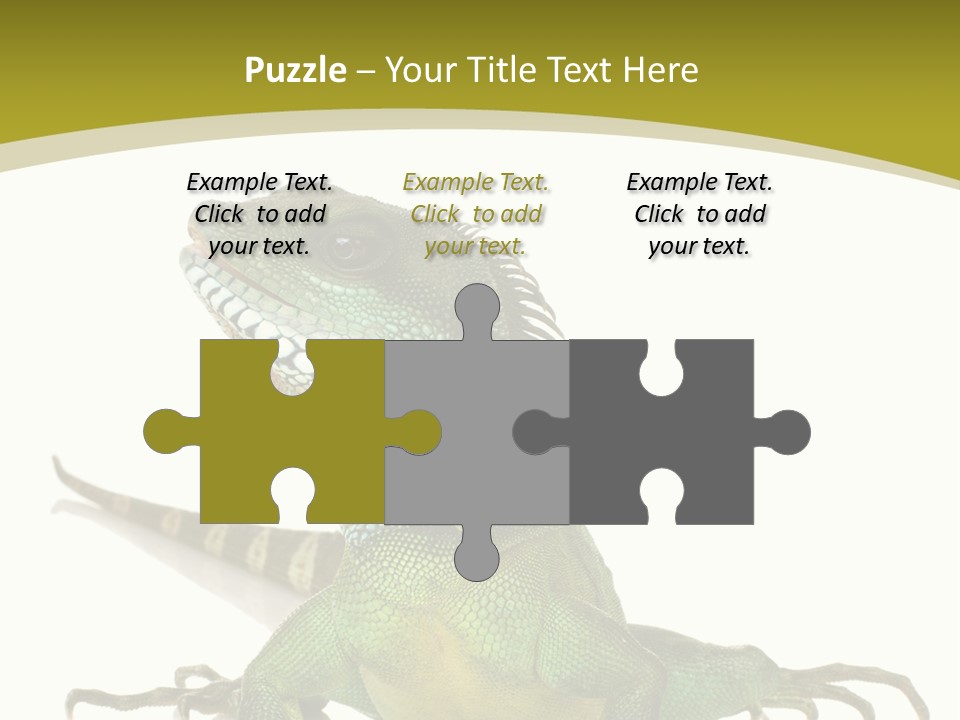 Isolated On White Iguana Nature PowerPoint Template