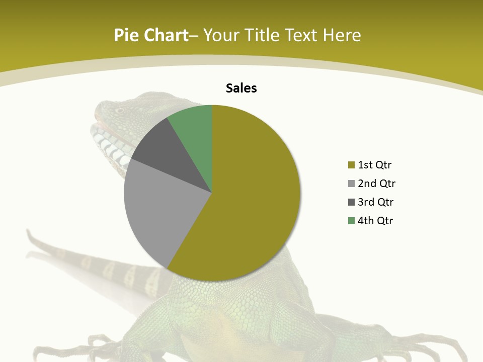 Isolated On White Iguana Nature PowerPoint Template