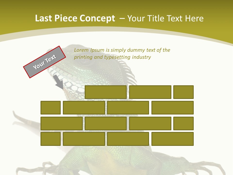 Isolated On White Iguana Nature PowerPoint Template