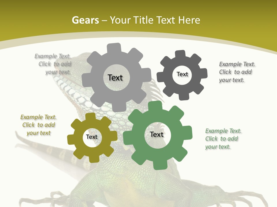 Isolated On White Iguana Nature PowerPoint Template