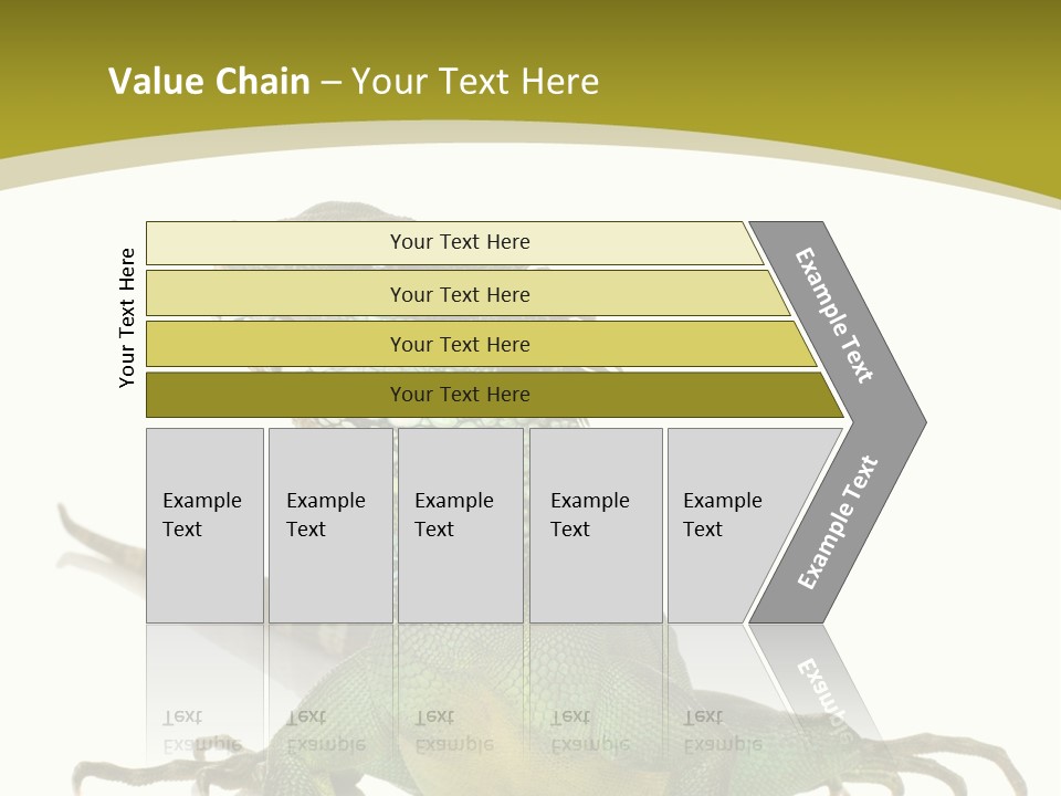 Isolated On White Iguana Nature PowerPoint Template