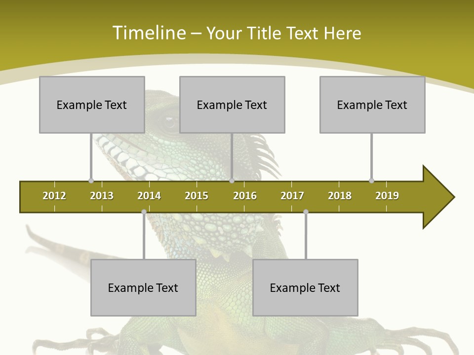 Isolated On White Iguana Nature PowerPoint Template