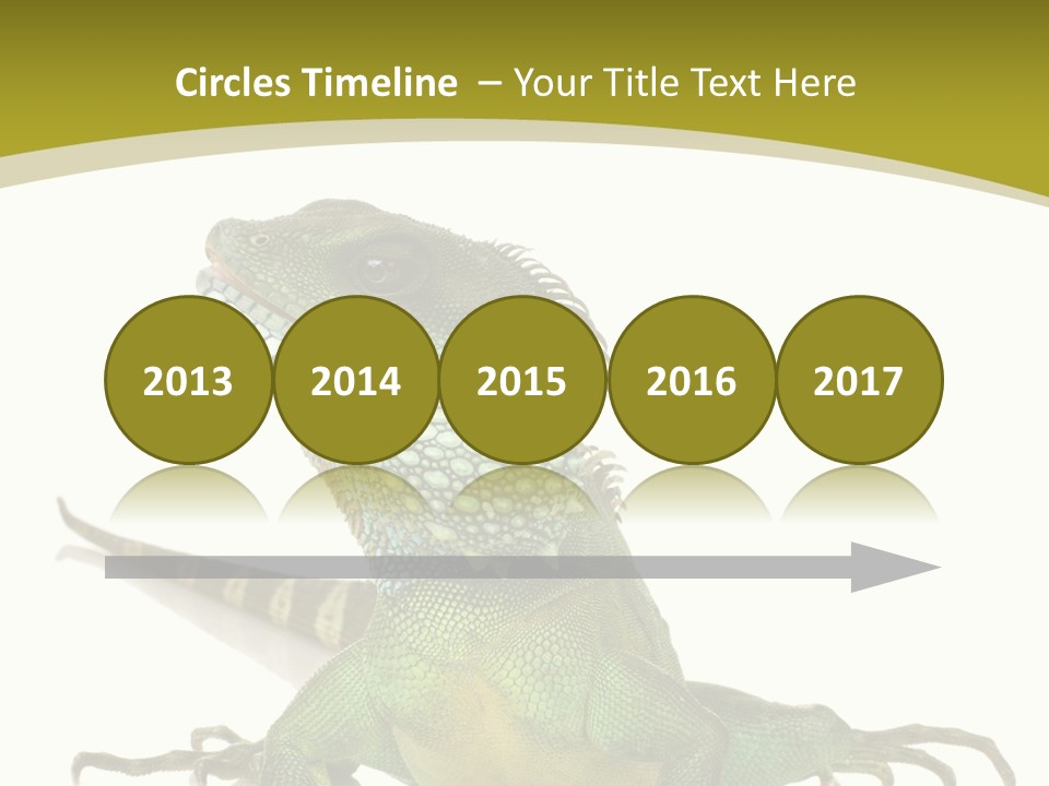 Isolated On White Iguana Nature PowerPoint Template