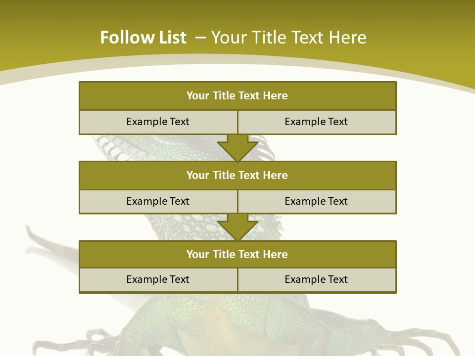 Isolated On White Iguana Nature PowerPoint Template