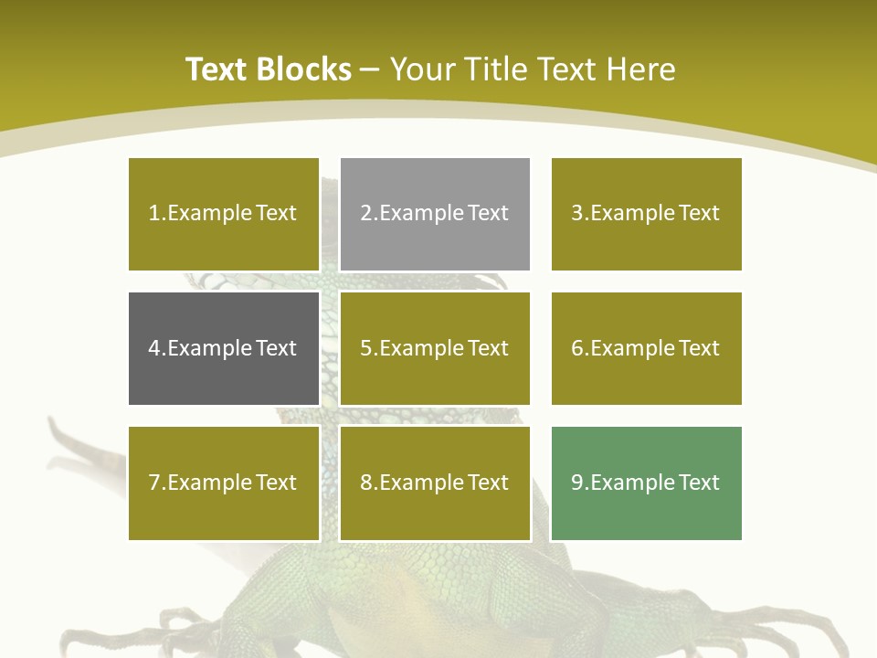 Isolated On White Iguana Nature PowerPoint Template