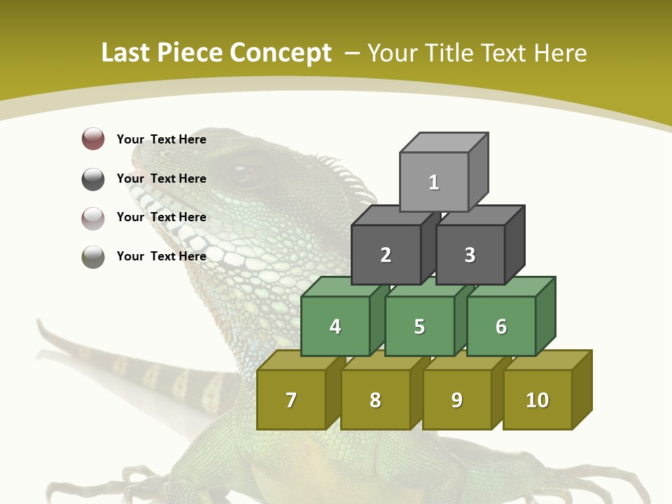 Isolated On White Iguana Nature PowerPoint Template