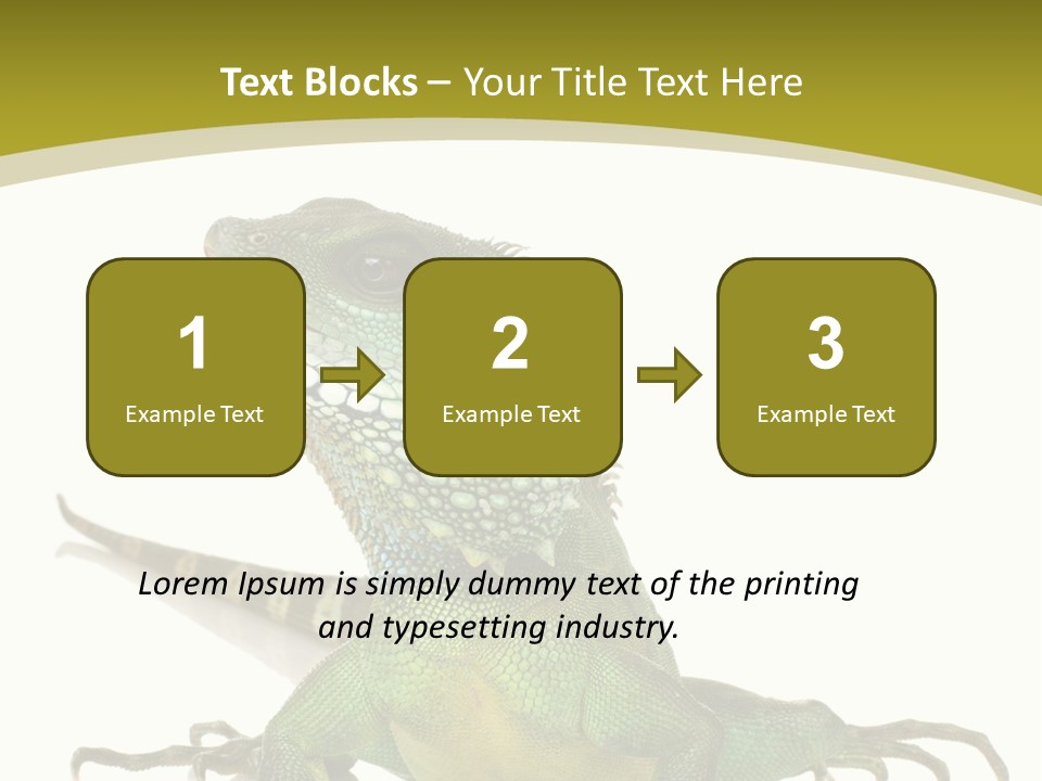 Isolated On White Iguana Nature PowerPoint Template