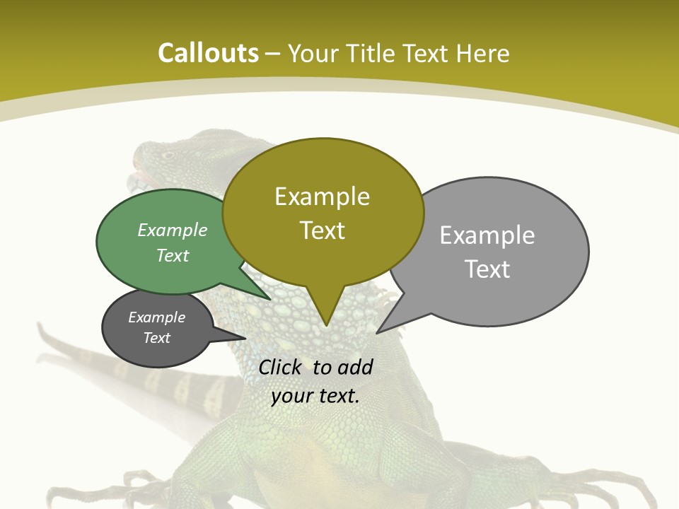 Isolated On White Iguana Nature PowerPoint Template