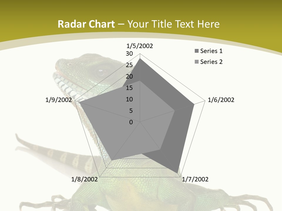 Isolated On White Iguana Nature PowerPoint Template