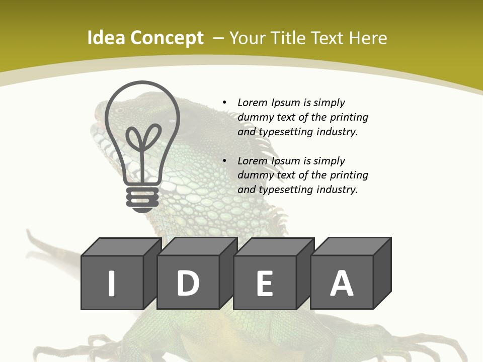 Isolated On White Iguana Nature PowerPoint Template