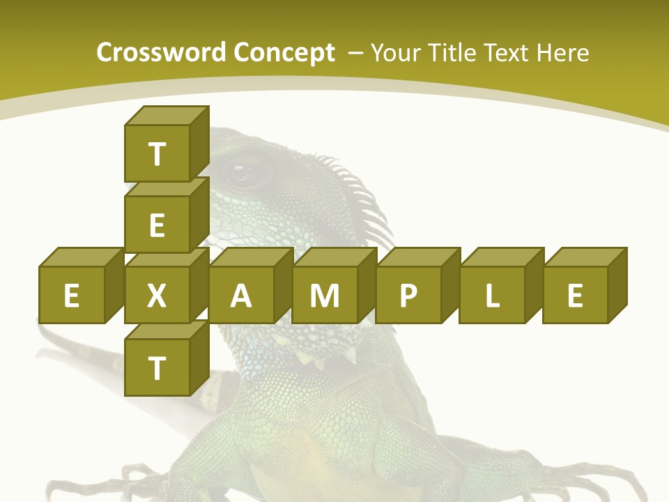 Isolated On White Iguana Nature PowerPoint Template