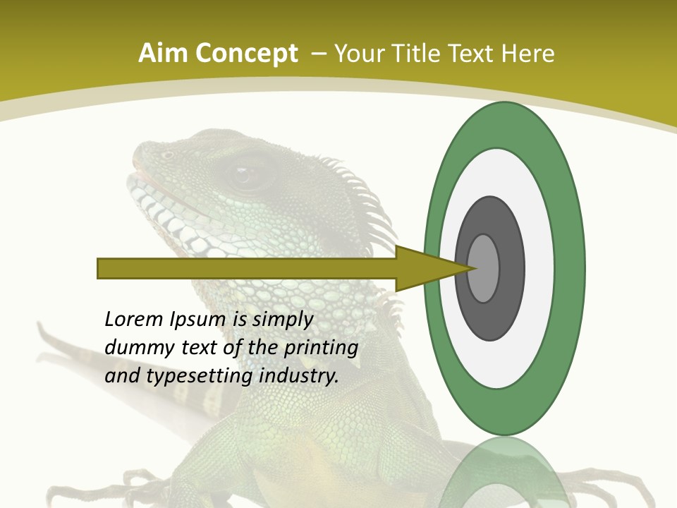 Isolated On White Iguana Nature PowerPoint Template