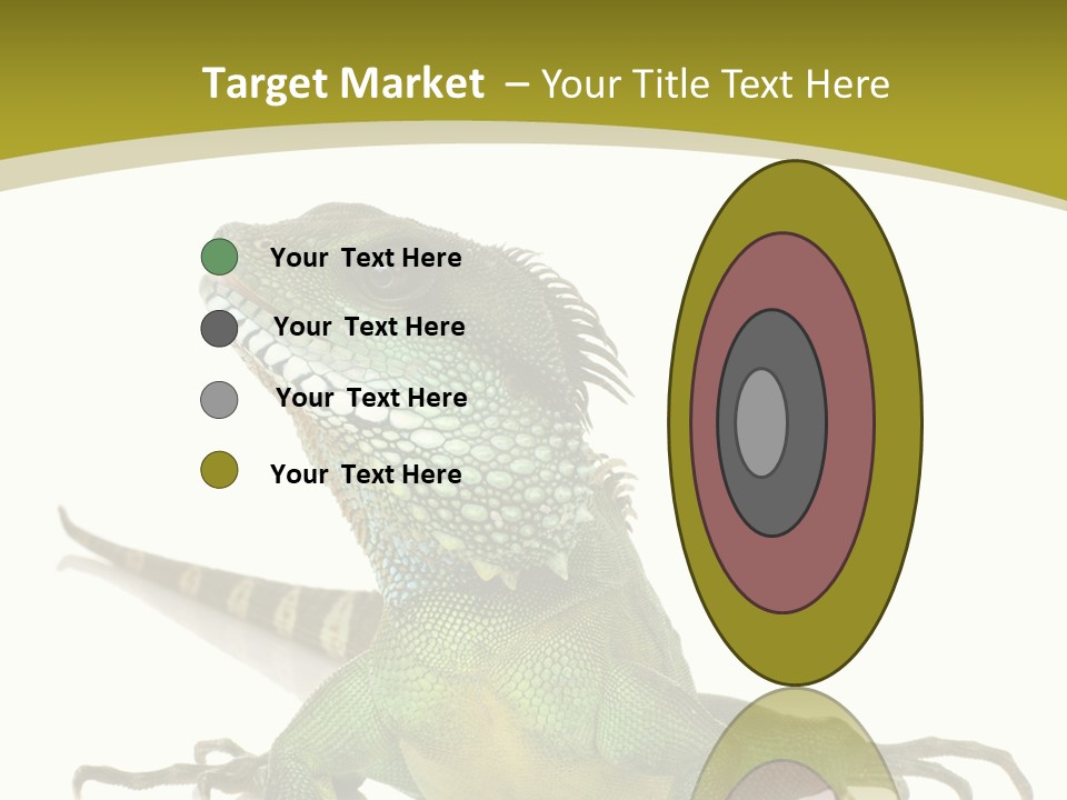 Isolated On White Iguana Nature PowerPoint Template