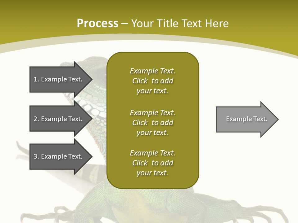 Isolated On White Iguana Nature PowerPoint Template