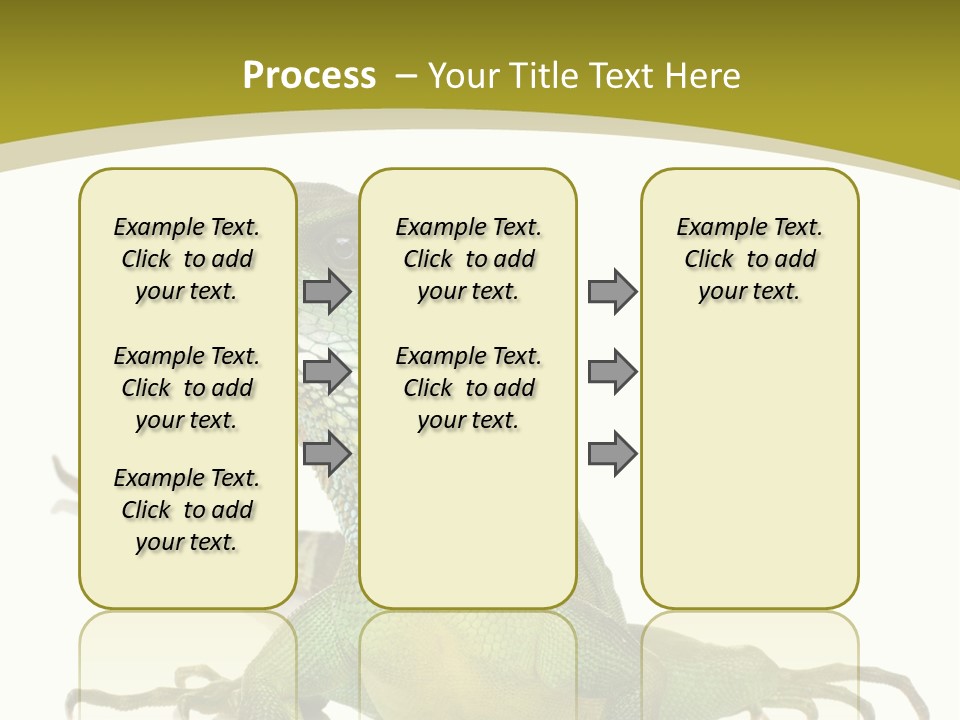Isolated On White Iguana Nature PowerPoint Template