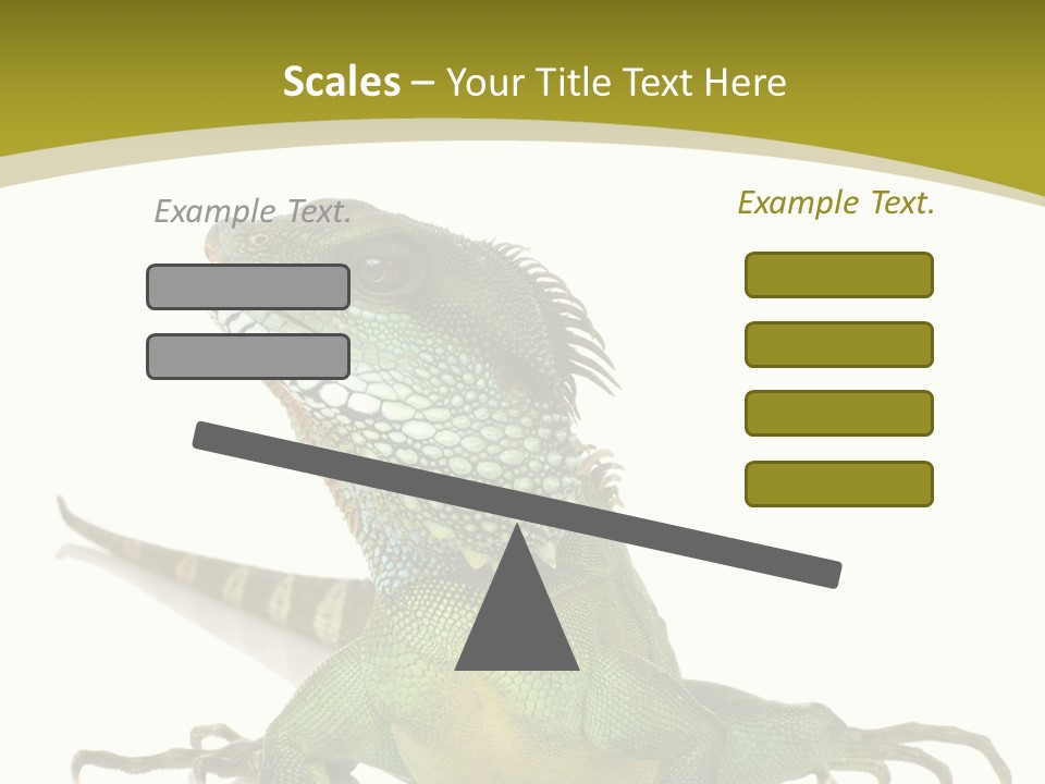 Isolated On White Iguana Nature PowerPoint Template