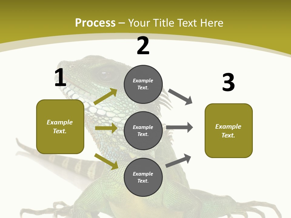 Isolated On White Iguana Nature PowerPoint Template