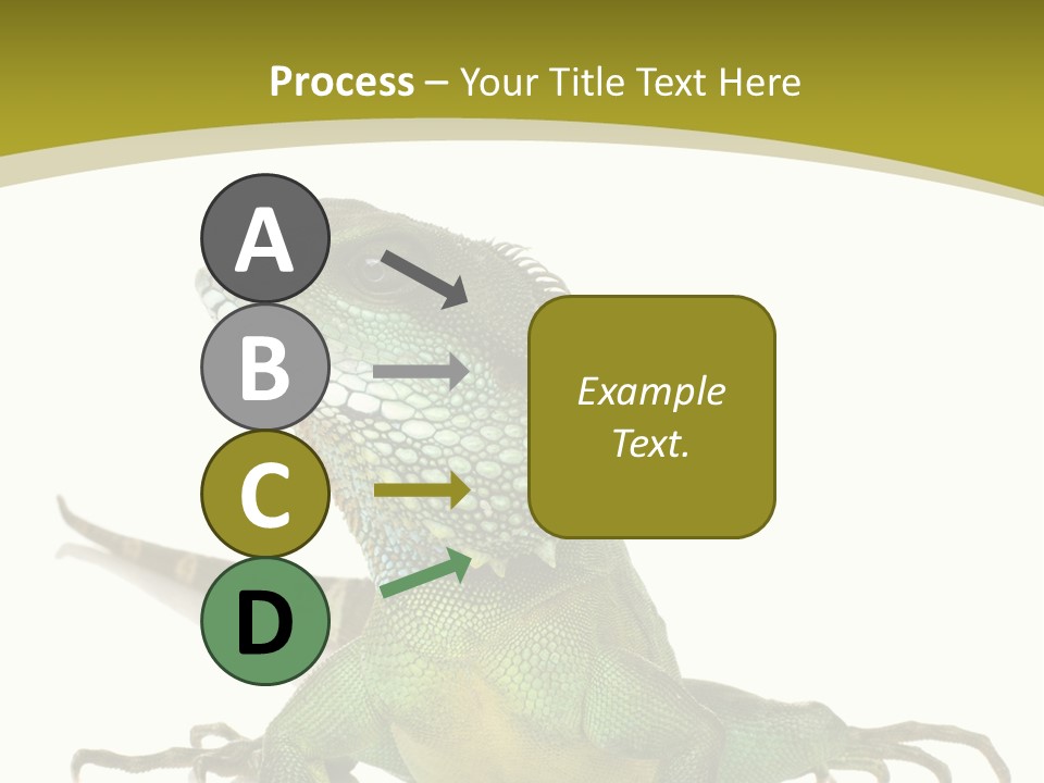 Isolated On White Iguana Nature PowerPoint Template