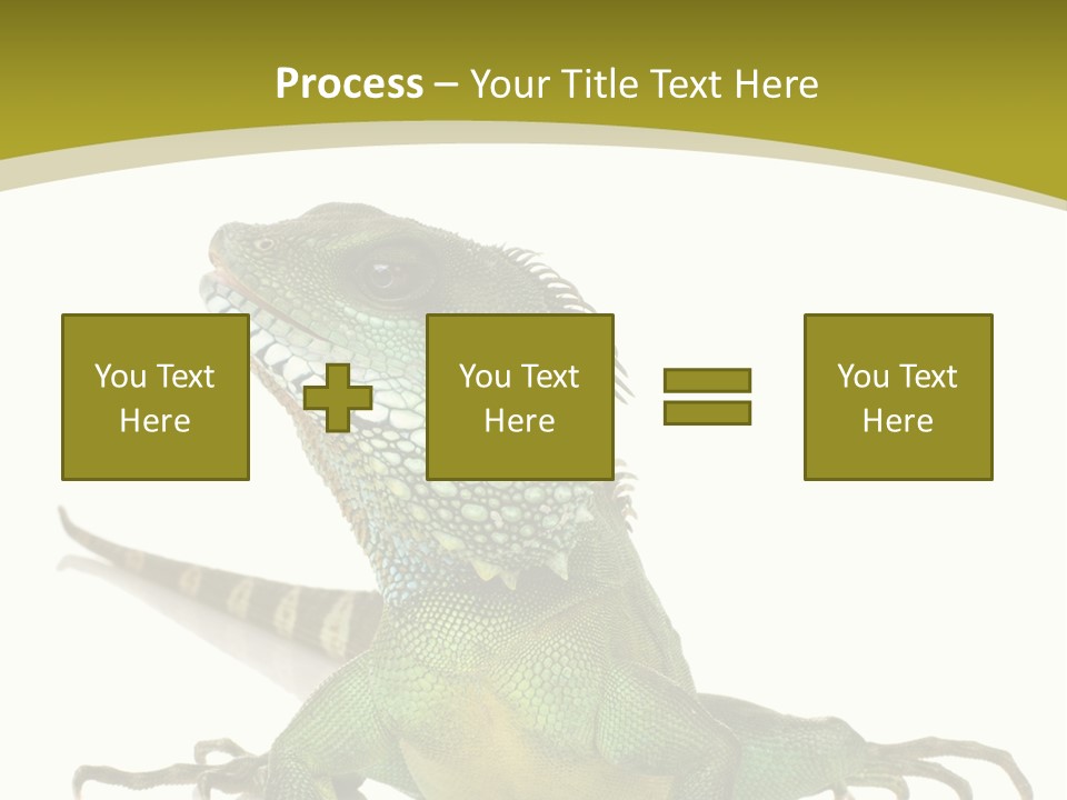 Isolated On White Iguana Nature PowerPoint Template