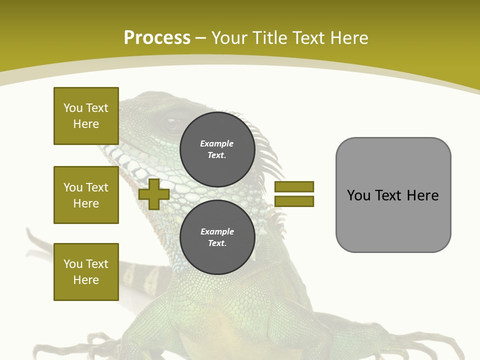 Isolated On White Iguana Nature PowerPoint Template