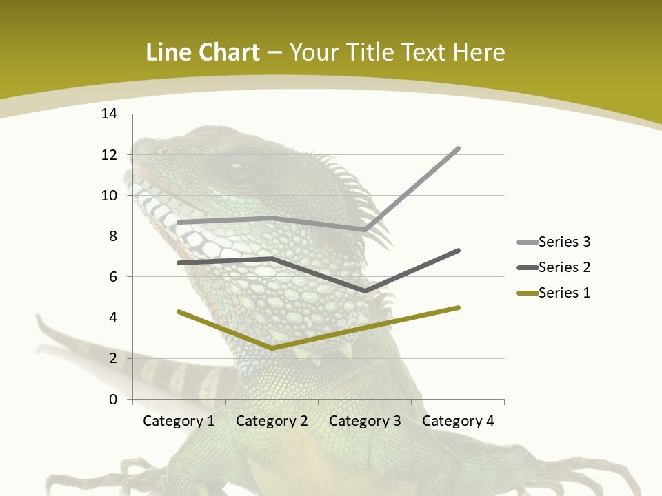 Isolated On White Iguana Nature PowerPoint Template