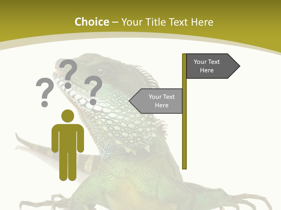 Isolated On White Iguana Nature PowerPoint Template